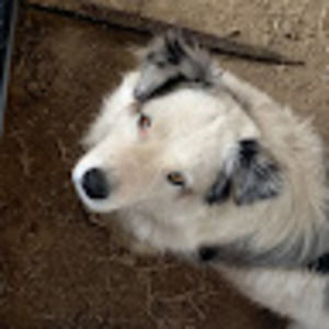 Meet your Posher, Ayden